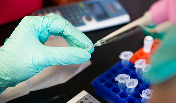 Researcher using test tube.