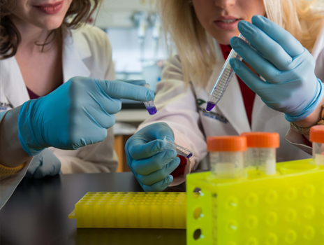 Two Female Researchers Working in Lab