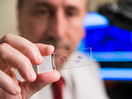 Researcher looking at slide.