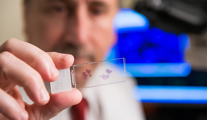 Researcher looking at slide.