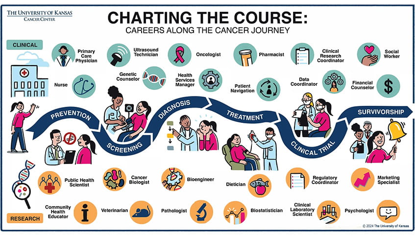 a winding blue line shows different segments of a cancer patient journey from prevention to survivorship. numerous job titles are on the top and bottom of the blue line showing where different careers impact a patient