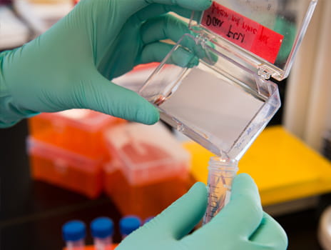 Close up of hands wearing green latex gloves pouring a sample into a vial.