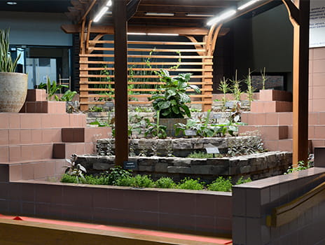 Cancer Center research garden.