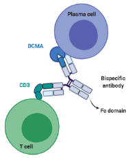 Biospecific Antibody Graphic